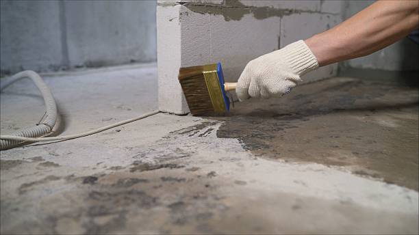 SJ Waterproofing Pros Waterproofing coverage map for Byron, MI and surrounding area